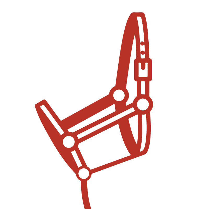 Rotes Pferde-Halfter ist verstellbar, für ein Holzpferd, Voltigierpferd geeignet und mit Anbindering für Führleine, Strick.