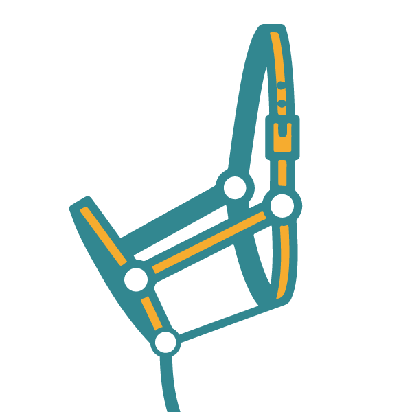 Rotes Pferde-Halfter ist verstellbar, für ein Holzpferd, Voltigierpferd geeignet und mit Anbindering für Führleine, Strick.