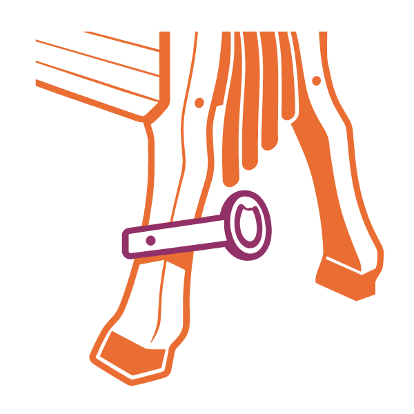 Massives Holz-Voltigierpferd mit Haltegriff der als Hilfe beim auf- und absteigen dient.