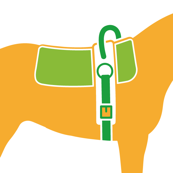 Holzpferd Zubehör kaufen