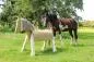 Preview: Großes Voltigierpferd Diamant | Holzpferd | Outdoor-Spielzeug | Einhorn | Draussen Preview: Großes Voltigierpferd Diamant | Holzpferd | Outdoor-Spielzeug | Einhorn | Draussen