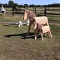 Preview: Holzpferd XXL und Holzpferd Pony klein zum Voltigieren reiten