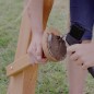 Preview: Putz Hufe für Holzpferde - Kind kratzt Hufe aus