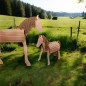 Preview: Voltigierpferde in XXL und klein Preview: Voltigierpferde in XXL und klein