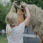 Preview: Kind spielt mit dem Holzpferd Einhorn und legt ihm ein Halfter an. Preview: Kind spielt mit dem Holzpferd Einhorn und legt ihm ein Halfter an.