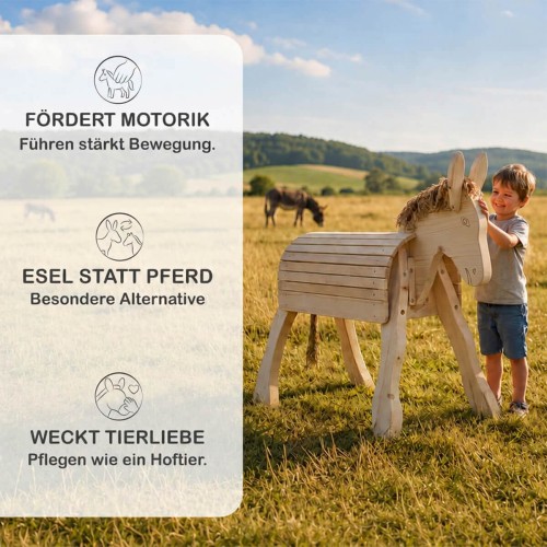 Infografik zeigt die Vorteile des Holzesels PEDRO für Motorik, Rollenspiel und Fantasie.