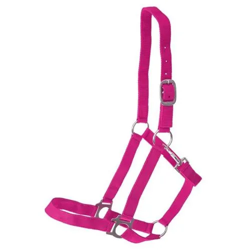 Pinkes Pferdehalfter-Voltigierpferd-Ergänzung-draußen-Outdoor-lets go