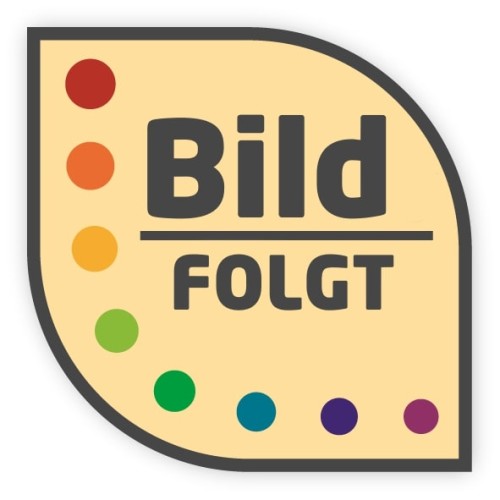 6-teiliges Ostheimer Krippenfiguren Set Heilige Familie aus Holz