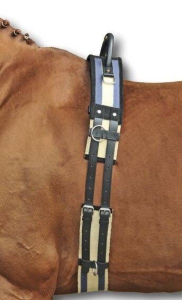 Voltigiergurt aus Leder mit stabilem Haltegriff, festgeschnallt auf dem Korpus eines hellen Holzpferdes in dunkelblau und beige