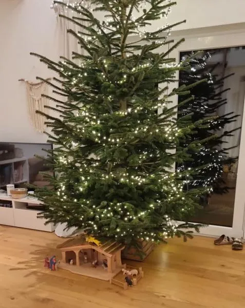 Weihnachten-Krippe-Holz-Krippenstall