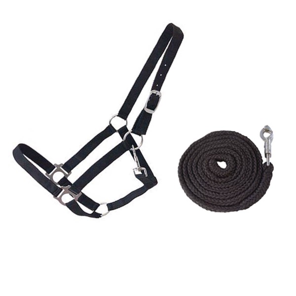 2er-Zubehör Set Schwarz - Großes Halfter, Sattel & Führleine 2er-Zubehör Set Schwarz - Großes Halfter, Sattel & Führleine