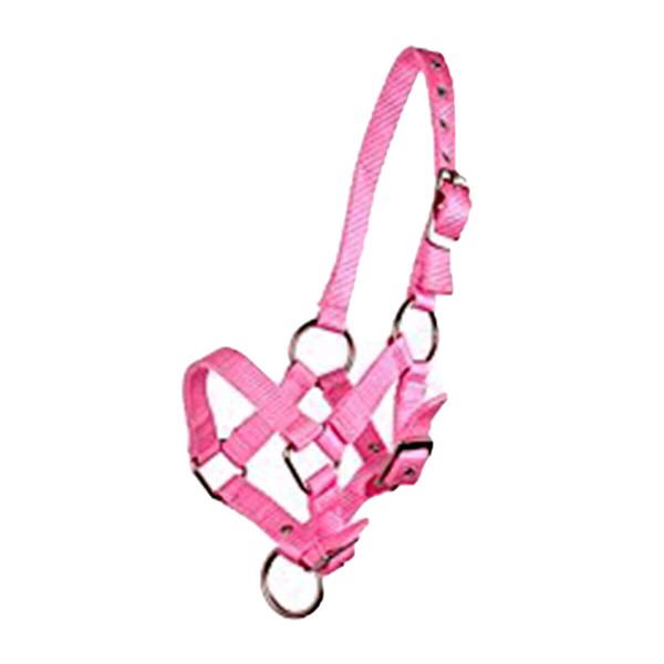 Halfter klein in Pink