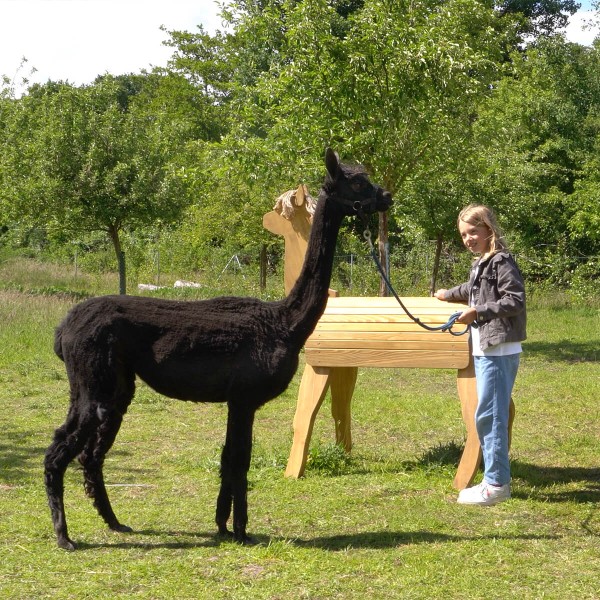 Alpaka Lama Wanderung Alpaka Lama Wanderung