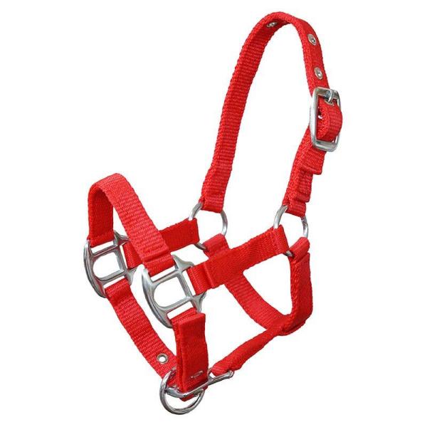 Halfter M Rot Halfter M Rot