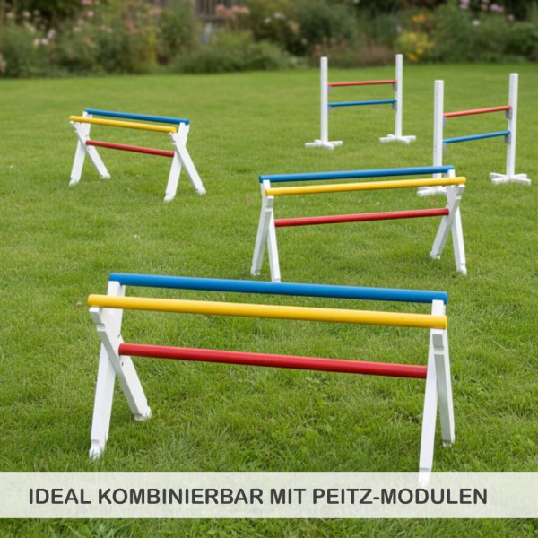 Mehrere Hindernis Hürden aus Holz als Parcours – erweiterbares System für Spiel, Training und Agility